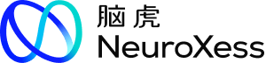 脑虎科技