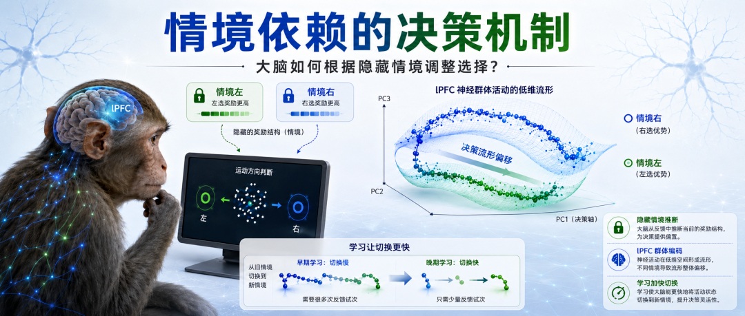 情境依赖的决策机制